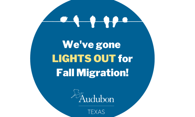 Lights Out, Texas!