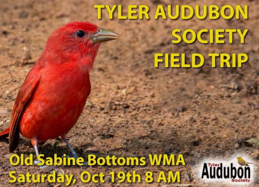 Field Trip to Old Sabine Bottom WMA