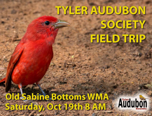 Field Trip to Old Sabine Bottom WMA