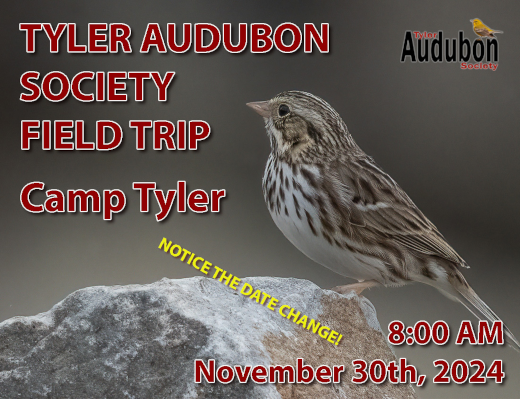 Field Trip to Camp Tyler November 30, 2024